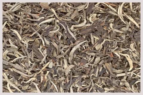 Organic White Monkey